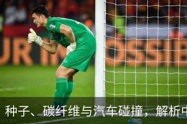 种子、碳纤维与汽车碰撞，解析中国的质量追求